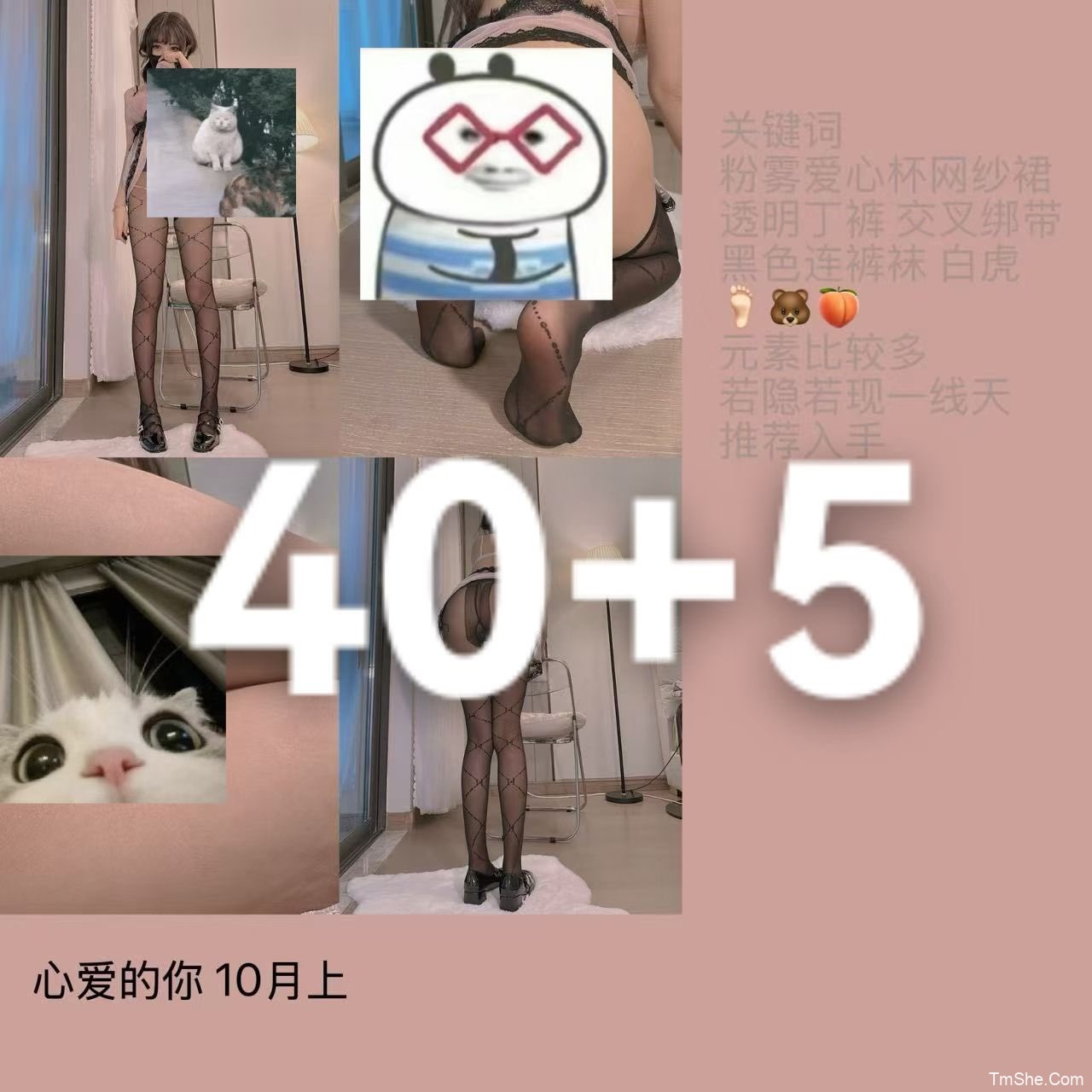 「几时宁」10月 – 漆皮女仆&心爱的你(100P/2V/2.07GB)-猫萌
