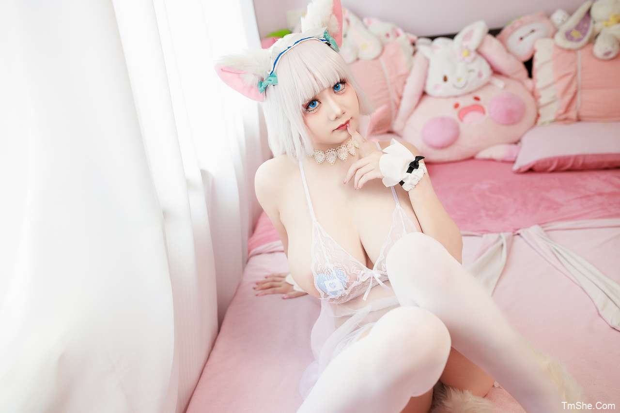 「阿雪雪」绘画素材 – 香子兰女仆(90P/4V/3.22GB)