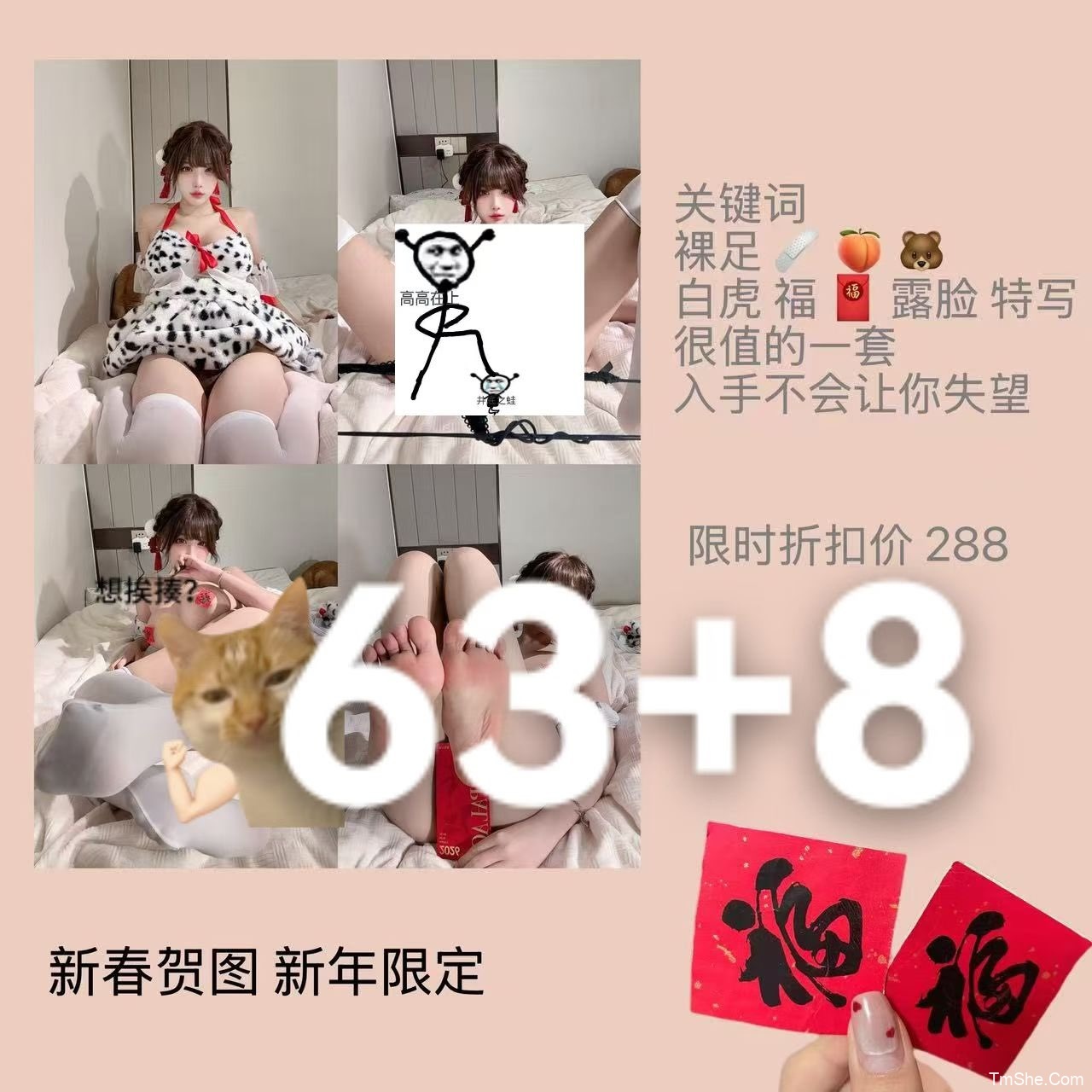 「几时宁」26年 春节​​​ – 新年贺图(63P/3V/1.02GB)-猫萌