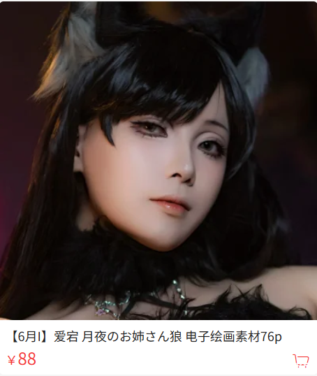「珟_珏Dita」绘画素材 – 爱宕 月夜のお姉さん狼(76P/933MB)-猫萌