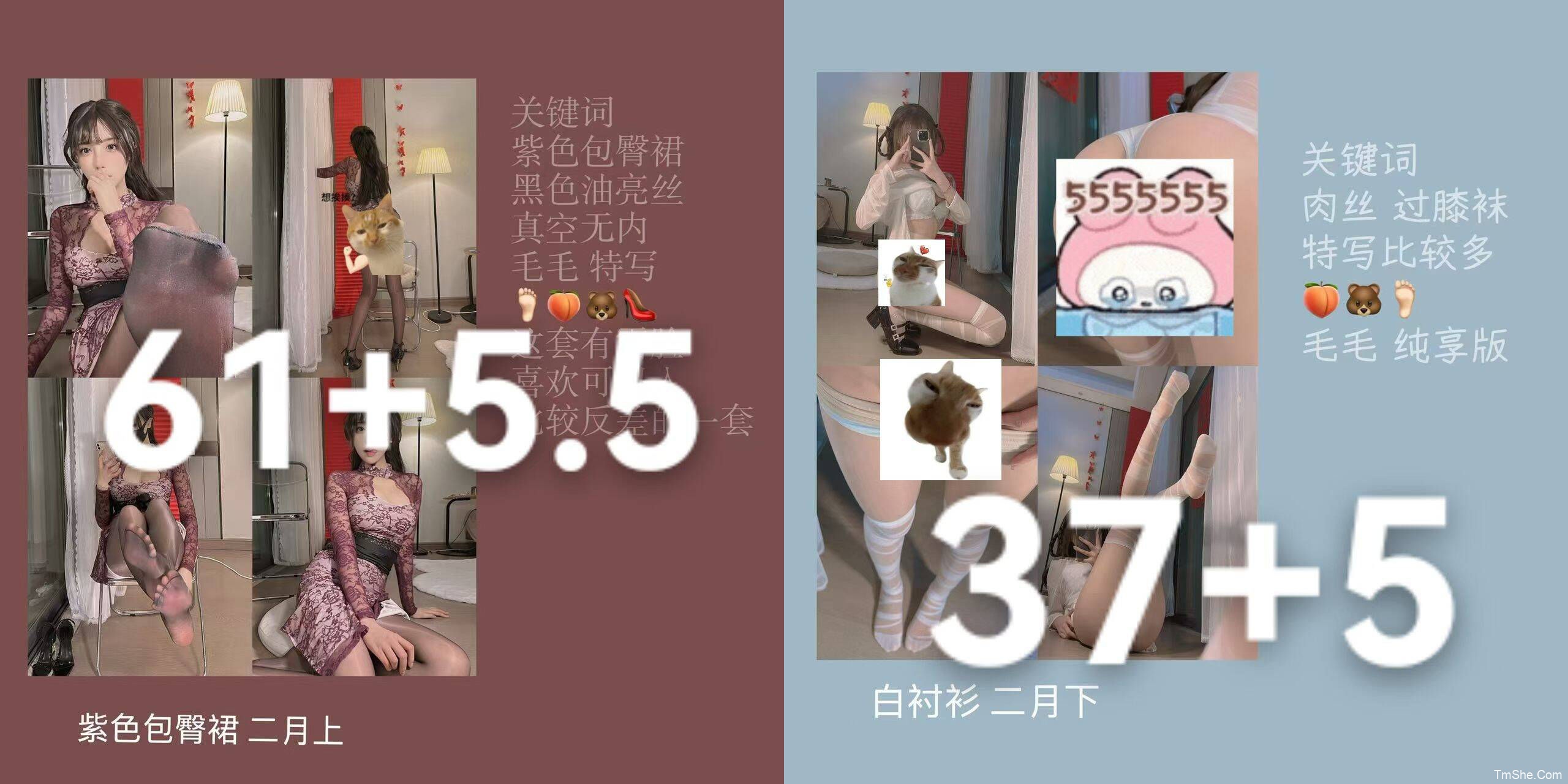 「几时宁」2026年​​​ – 2月视图(98P/3V/1.33GB)-猫萌