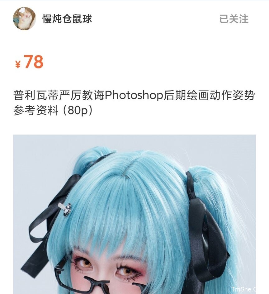 「慢炖仓鼠球」电子绘画素材 – 普丽瓦蒂(80P/822MB)-猫萌