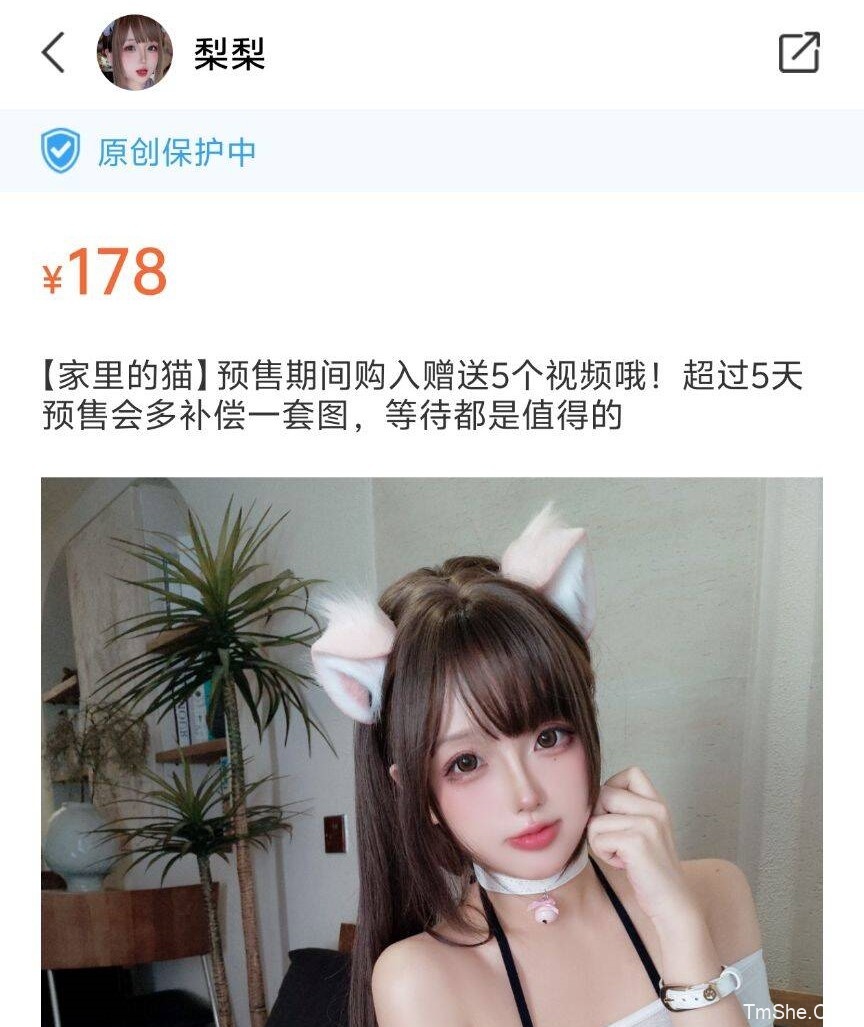 「日奈娇」绘画素材 – 家里的猫(180P/5V/1.62GB)-猫萌
