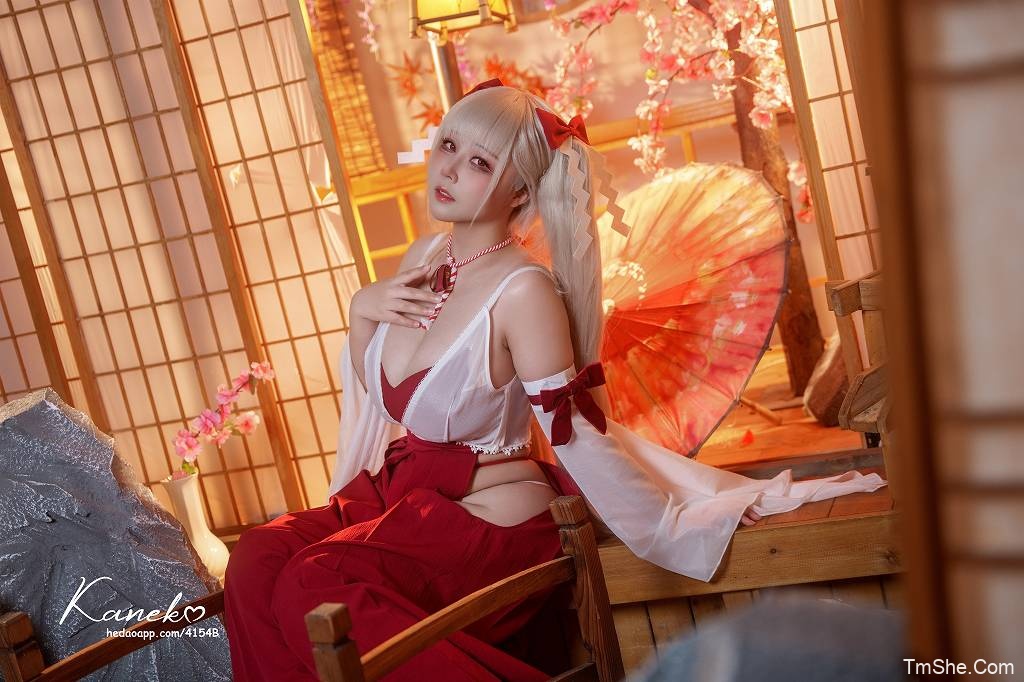 「KANEKO_咔喵」电子素材 – 3组(77P/7V/1.35GB)