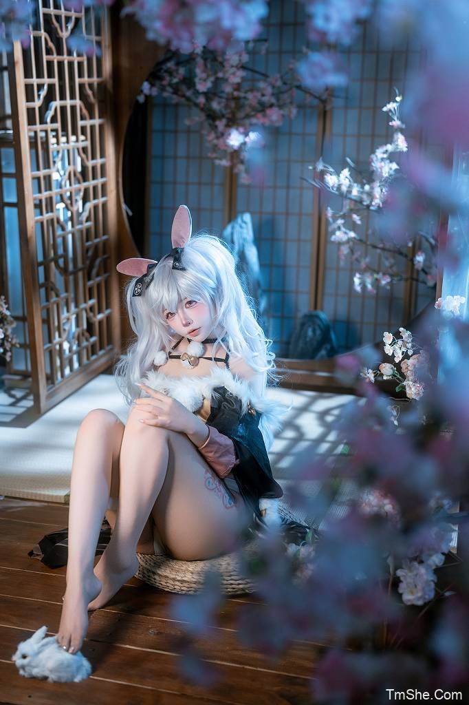 「铁手叫兽」绘画素材 – 拉菲兔兔城主(21P/1V/1.62GB)-图萌社
