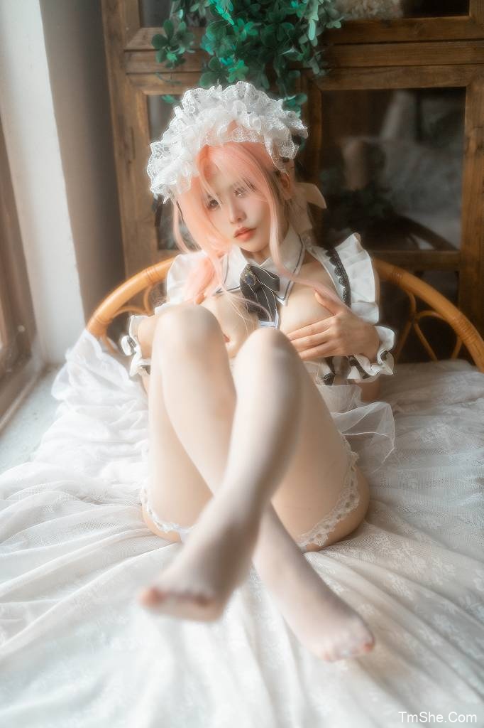 「铁手叫兽」绘画素材 – 小U女仆&2B柔光(20P/1V/2.64GB)-图萌社