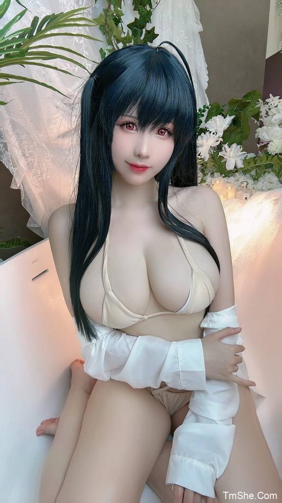 「miko酱」电子素材 – 大凤泳装(35P/365MB)